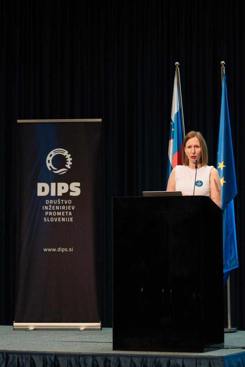 DIPS-2026-230