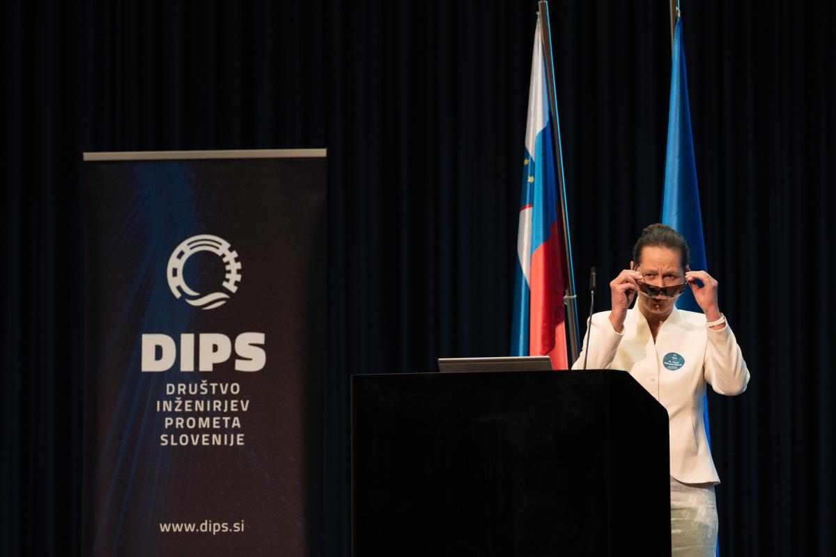 DIPS-2026-251